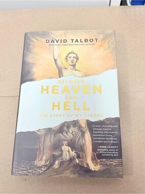 Between Heaven and Hell The story of my Stroke Book